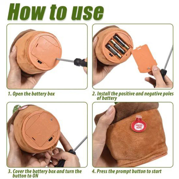 El divertidísimo cactus DANCETUS