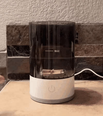 Limpiador profesional de brochas de maquillaje | BRUSHNISTA