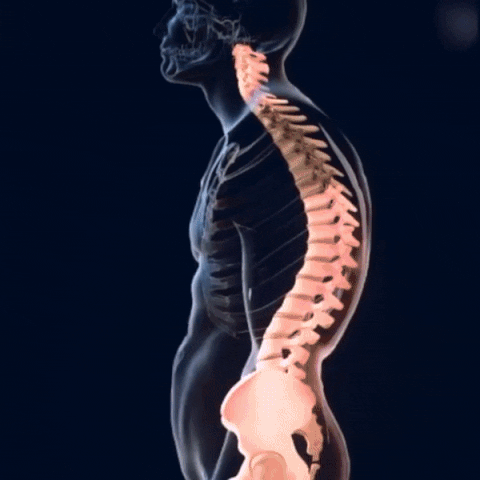 CORRECTOR DE POSTURA ORTOPEDICO – ALIVIO PARA ESPALDA Y HOMBROS