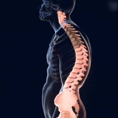 CORRECTOR DE POSTURA ORTOPEDICO – ALIVIO PARA ESPALDA Y HOMBROS